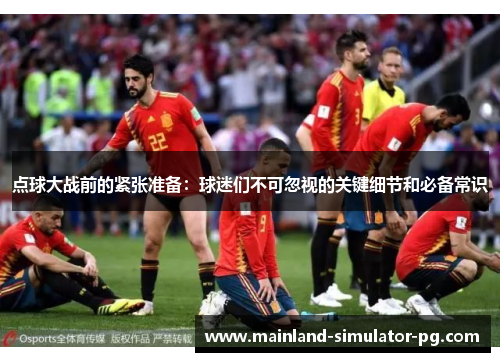 点球大战前的紧张准备：球迷们不可忽视的关键细节和必备常识