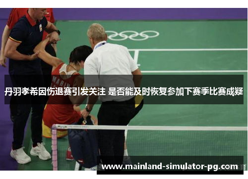 丹羽孝希因伤退赛引发关注 是否能及时恢复参加下赛季比赛成疑