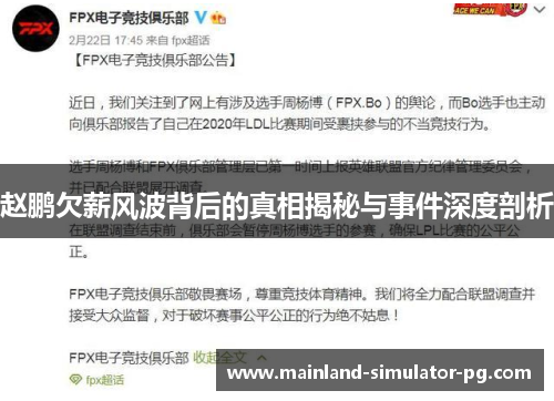 赵鹏欠薪风波背后的真相揭秘与事件深度剖析