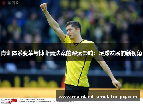 青训体系变革与博斯曼法案的深远影响：足球发展的新视角