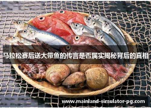 马拉松赛后送大带鱼的传言是否属实揭秘背后的真相