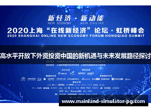 高水平开放下外资投资中国的新机遇与未来发展路径探讨