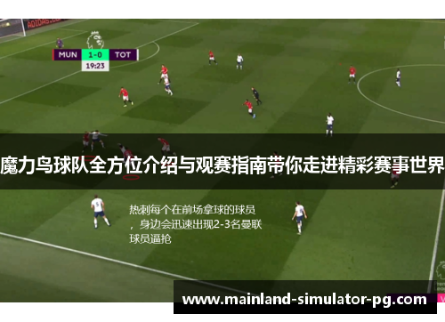 魔力鸟球队全方位介绍与观赛指南带你走进精彩赛事世界