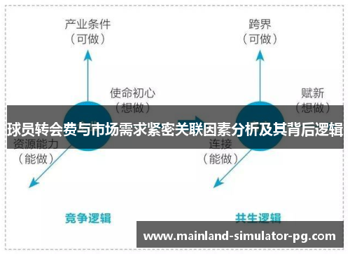 球员转会费与市场需求紧密关联因素分析及其背后逻辑