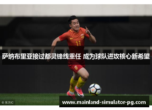 萨纳布里亚接过都灵锋线重任 成为球队进攻核心新希望