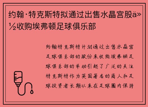 约翰·特克斯特拟通过出售水晶宫股份收购埃弗顿足球俱乐部